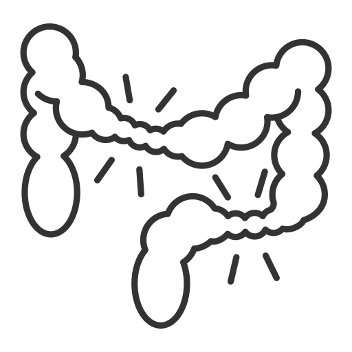 Ícone de intestino